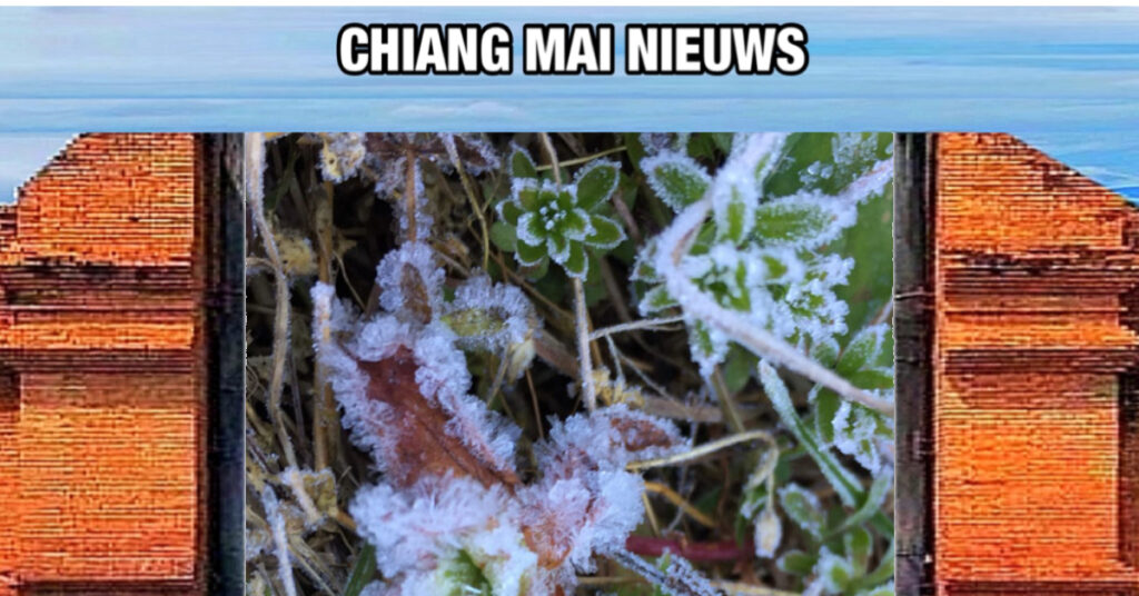 Winterwonderland op Doi Inthanon in Noord-Thailand, de bezoekers genieten van de eerste sneeuw❗️