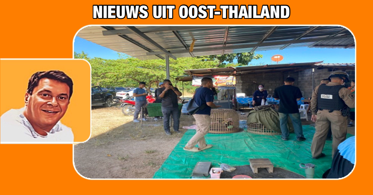 Politie maakt een einde aan een spannend hanengevecht in Oost-Thailand 