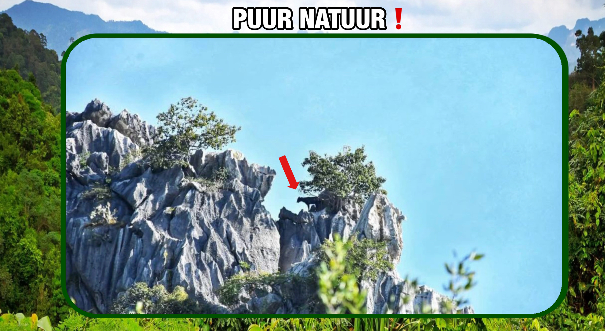 Zeldzame bosgems waargenomen in het Khao Sam Roi Yot Nationaal Park in Centraal-Thailand 