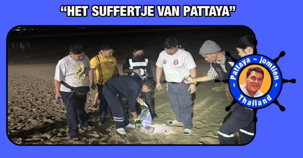 Het mysterie rond ‘menselijke’ schedel op het strand van Pattaya is opgelost