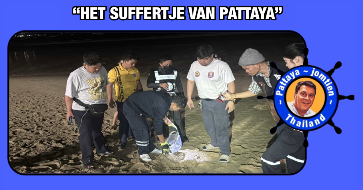 Het mysterie rond ‘menselijke’ schedel op het strand van Pattaya is opgelost