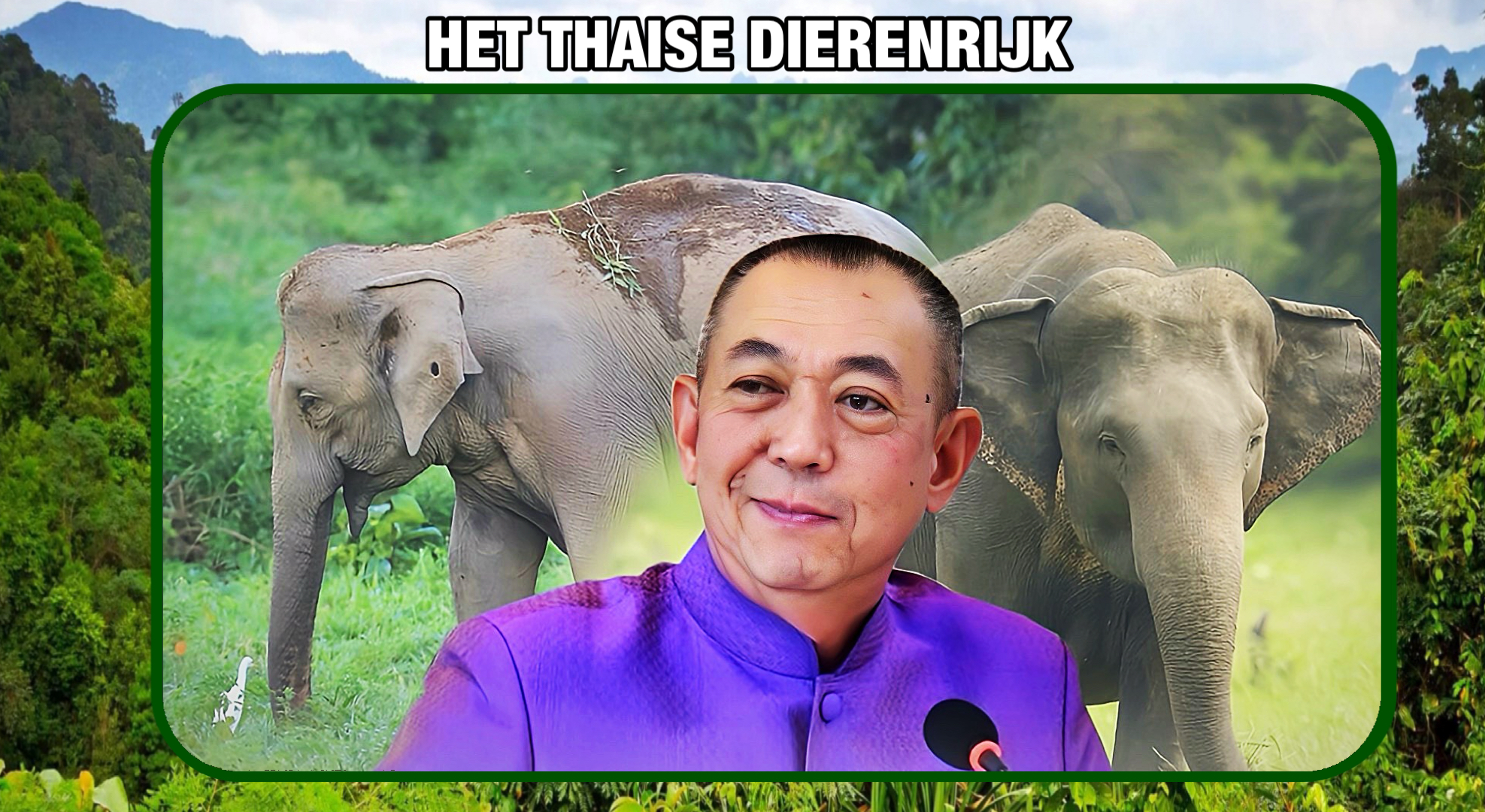 Thailand voert geboortebeperking in voor olifanten om de conflicten tussen mens en dier te verminderen