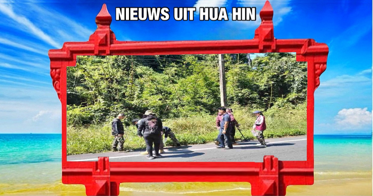 Thaise man meldt zich bij de politie na schieten op wilde olifanten in Centraal-Thailand 