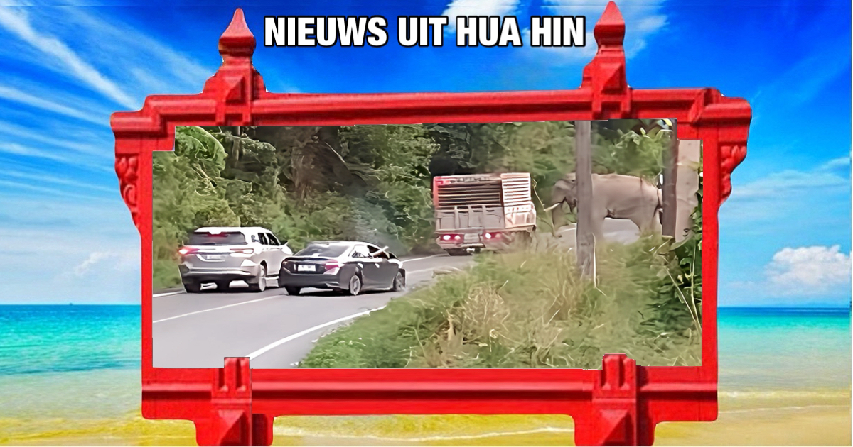 Management van het Kaeng Krachan National Park in Centraal-Thailand onderneemt juridische stappen na schietincident op olifanten