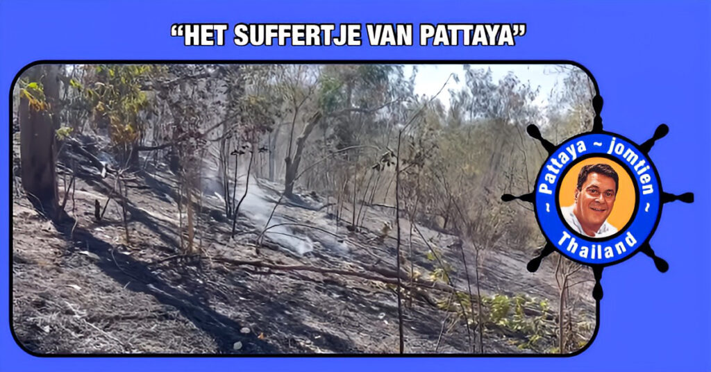 UPDATE | Grote bosbrand bij Pattaya onder controle, maar aanzienlijke schade aan het bos