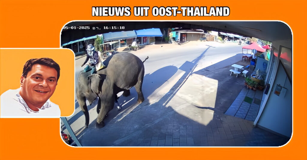 🎥 | Ouders en kinderen ontsnappen ternauwernood aan een gevaarlijke situatie met een olifant in Oost-Thailand