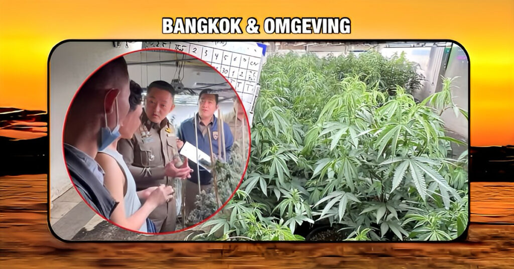 Vietnamees in Bangkok dacht dat hij een ‘groene’ vingers had, maar kreeg de handboeien van de Thaise politie