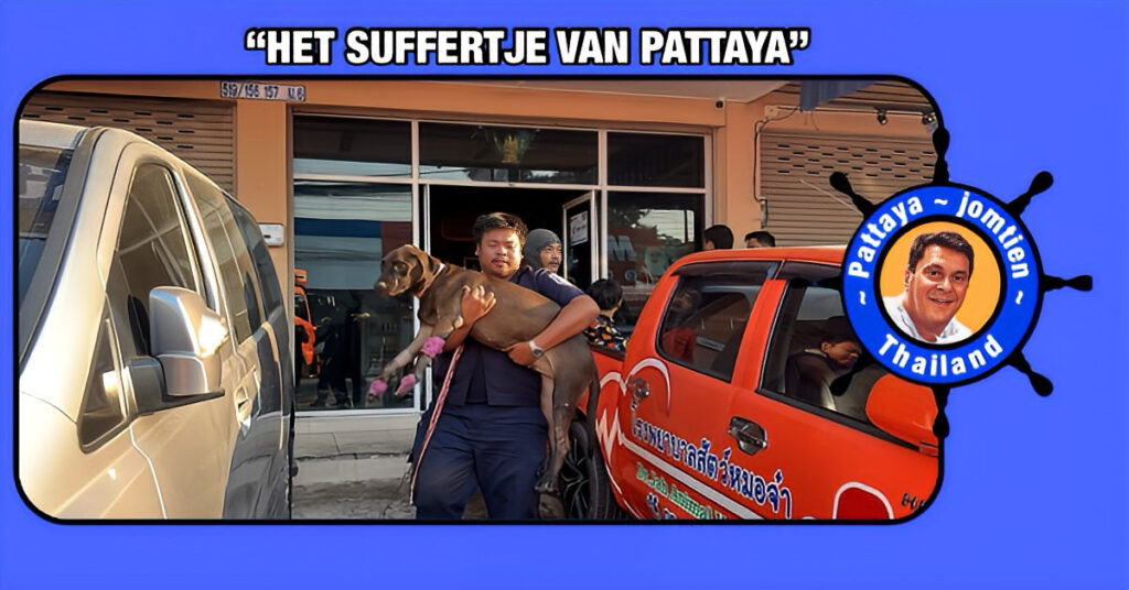 Brand in dierenkliniek in Pattaya eist het leven van twee katten en veroorzaakte paniek onder de bewoners 