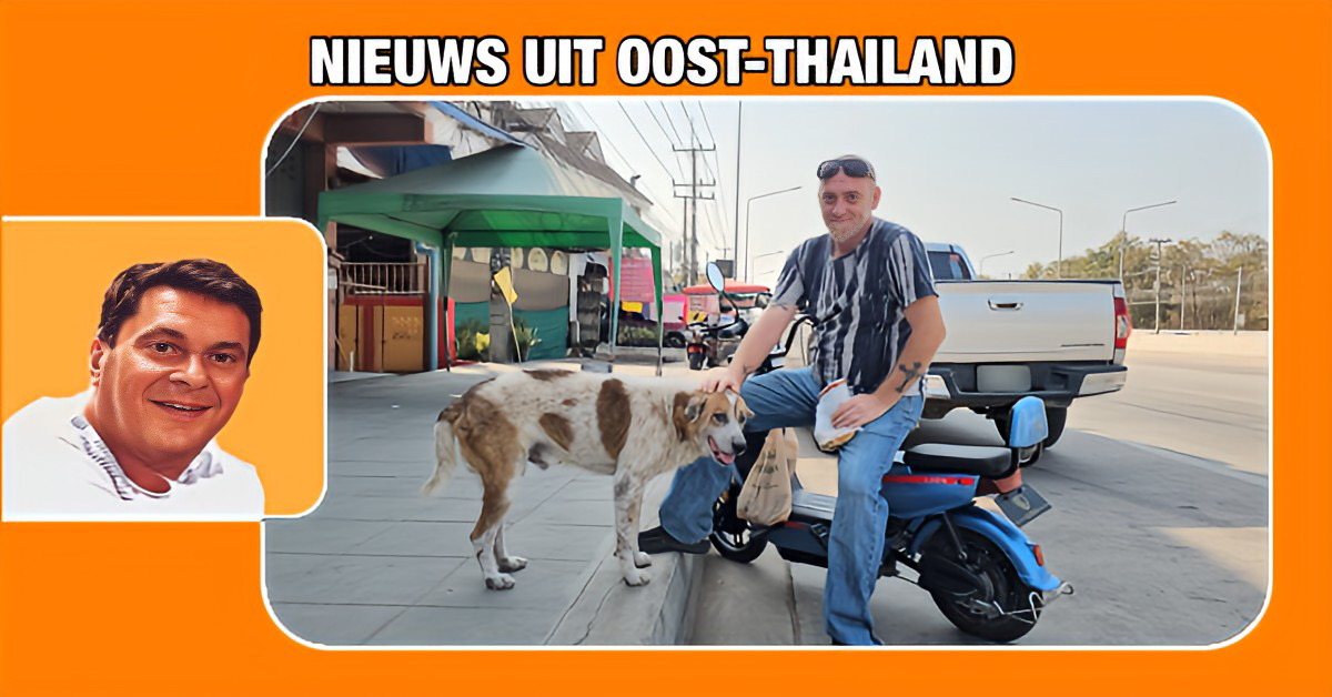 Pure dierenliefde in Oost-Thailand, angstig geworden zwerfhond vindt nieuw thuis tijdens Chinese Nieuwjaar