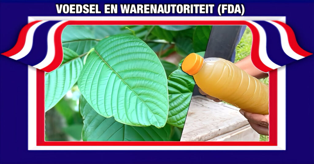 De Voedsel- en Warenautoriteit van Thailand keurt het gebruik van kratom goed voor gezondheids- en economische voordelen.