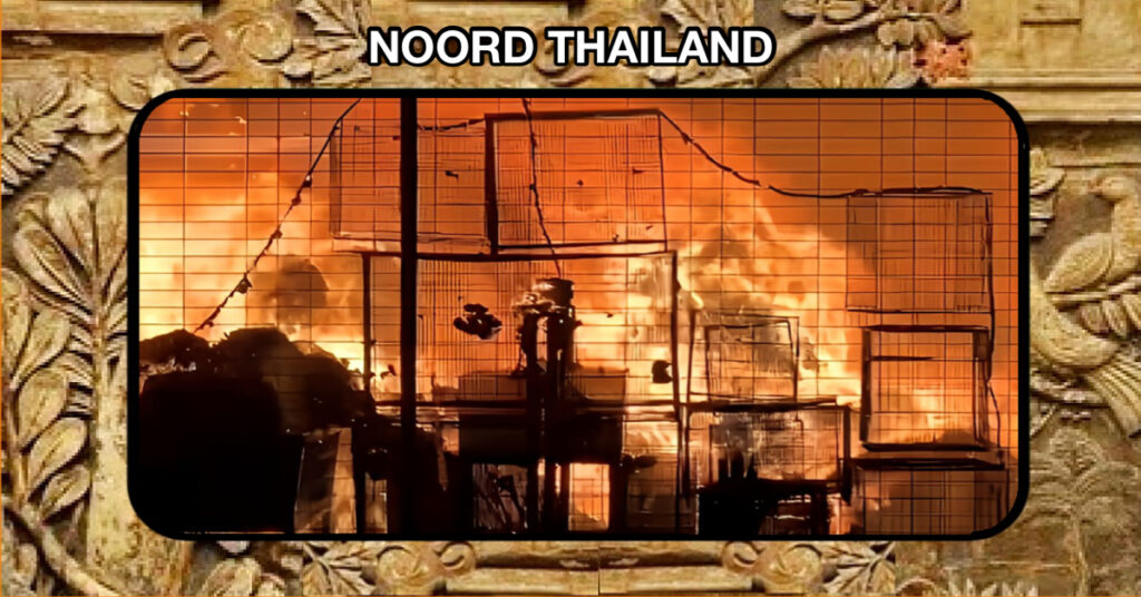 🎥 | Bij een verwoestende brand in een dierenwinkel in Noord-Thailand zijn honderden dieren omgekomen.