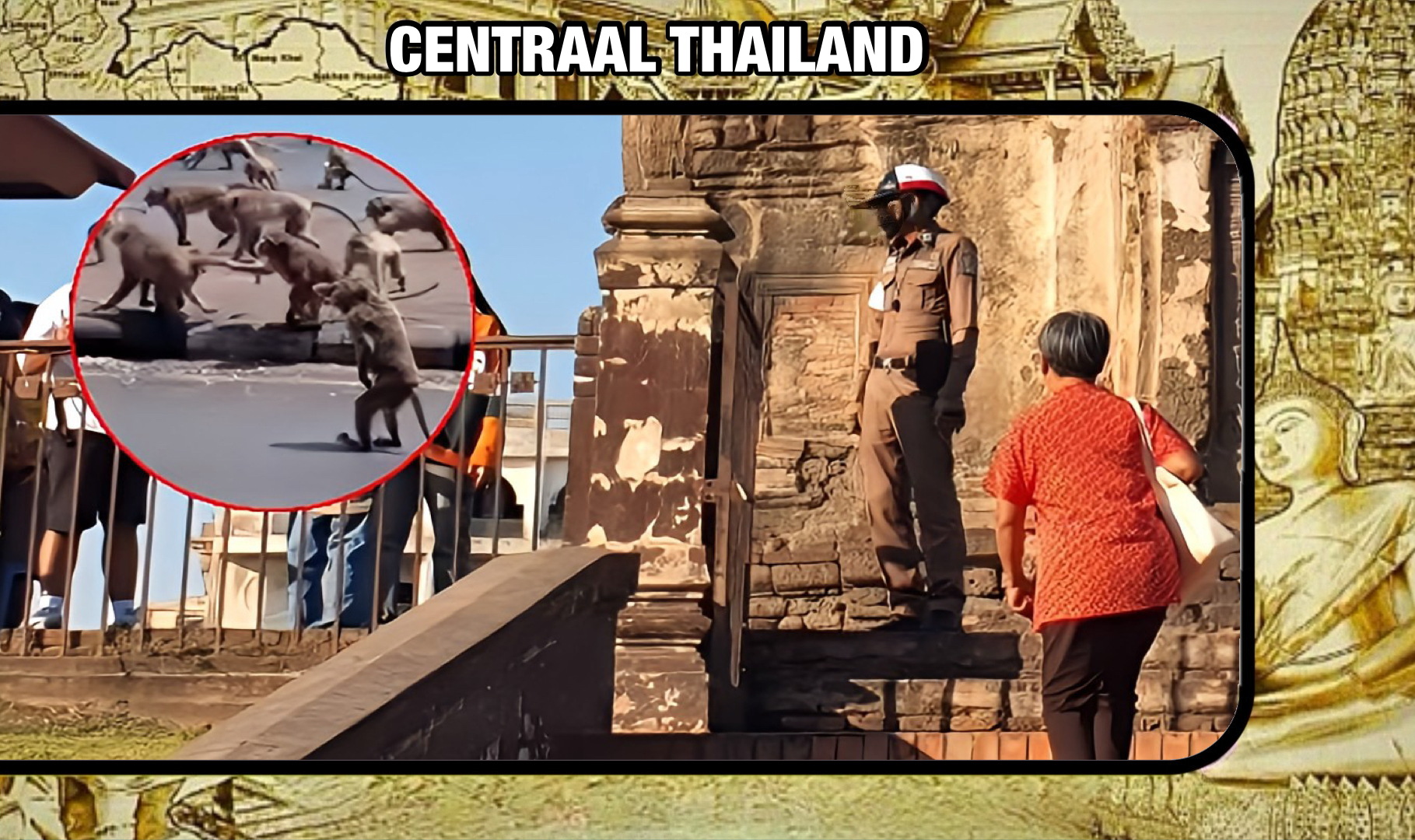 Waarschuwing voor Toeristen: die snoezige makaak-aapjes in Centraal-Thailand zijn ware terreurgangers