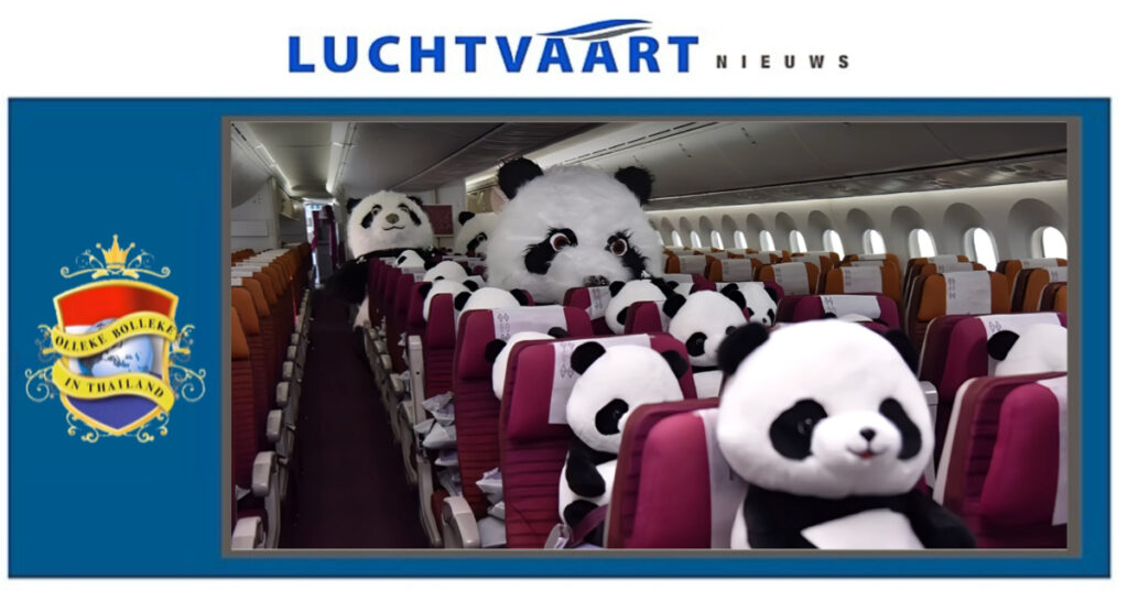 🐼 HELLUP❗️Er komt vlucht pandaberen vanuit China om in Thailand Chinees nieuwjaar te vieren!