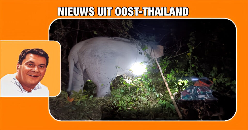 Een veterinair team heeft zich naar het Khao Ang Rue Nai Wildreservaat in Oost-Thailand gehaast om een gewonde olifant te helpen.
