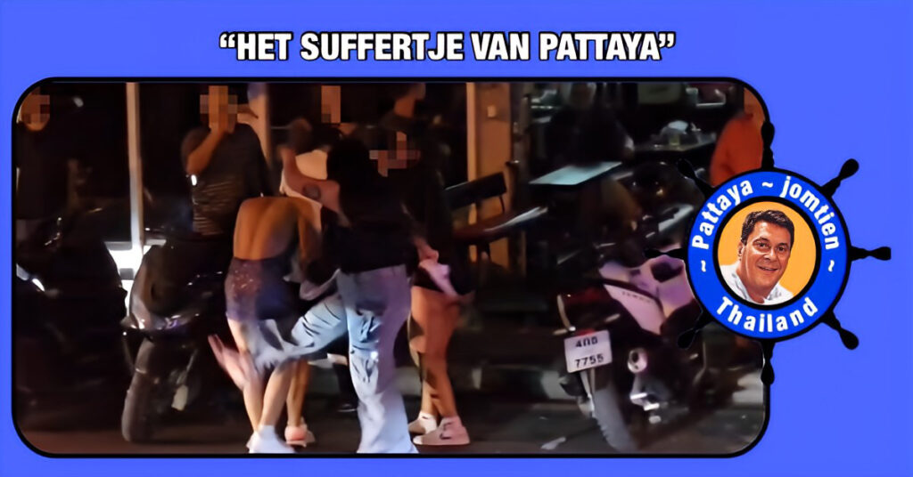 Vechtende Thaise katten hielden omwonenden van de Soi Diana wakker, politie Pattaya komt ter plaatse