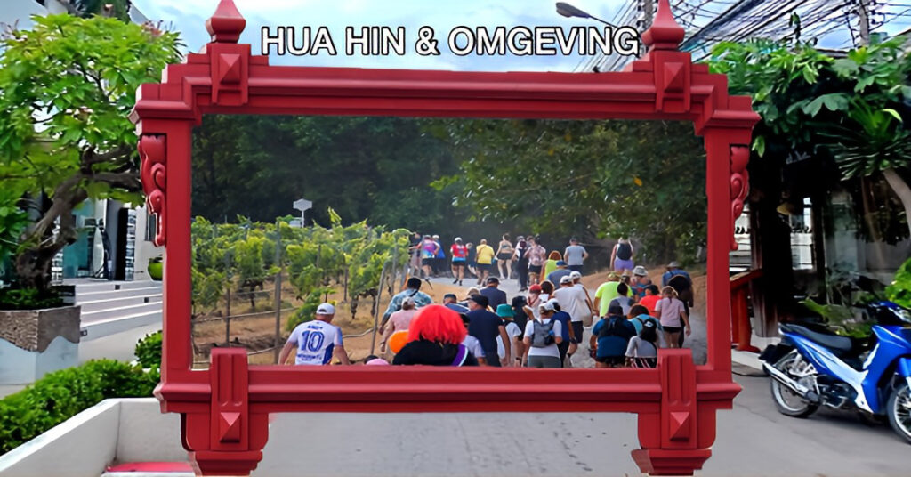 🎥 |De eerste “oogstwijnrun” op Monsoon Valley Vineyard in Hua Hin was een groot succes te noemen