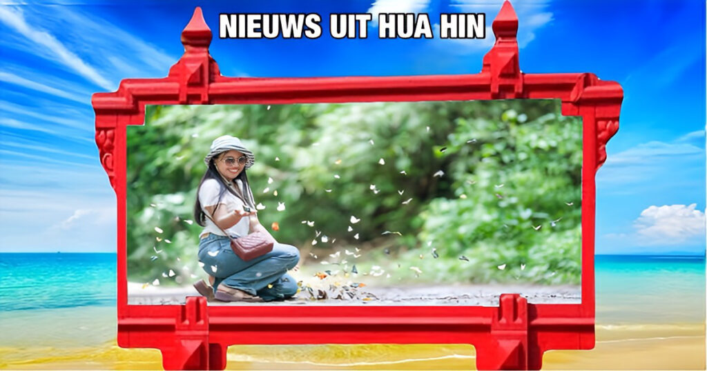 Het vlinderseizoen begint dit jaar vroeg in het Kaeng Krachan National Park in Centraal-Thailand