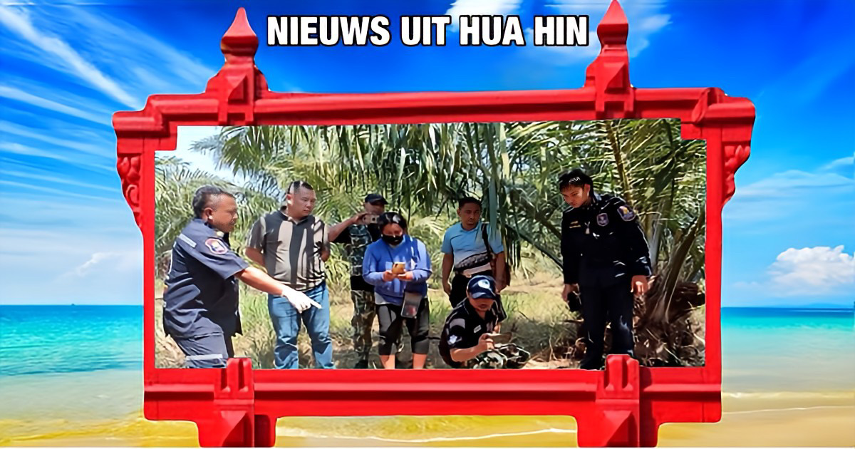 Een landeigenaar in Centraal-Thailand komt tijdens een inspectie een wilde olifant tegen en overleeft de ontmoeting niet