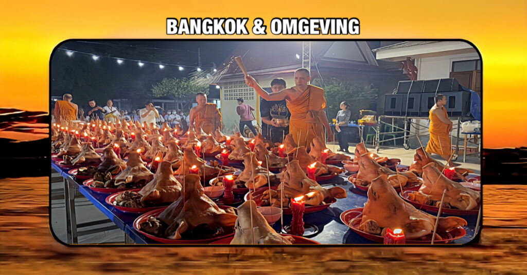 Een Taiwanese loterijwinnaar laat iedereen in Thailand versteld staan door maar liefst 100 varkenskoppen aan een tempel te schenken