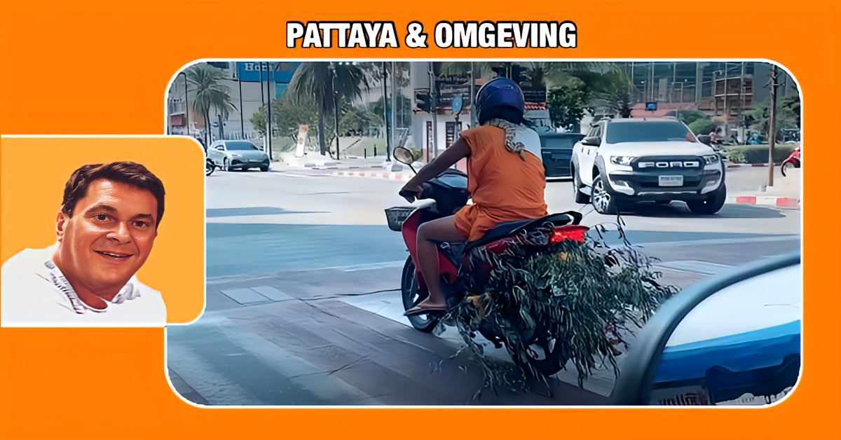 🎥 | Monnik of bedrieger? Het blijft een raadsel, vooral in de context van Thailand!