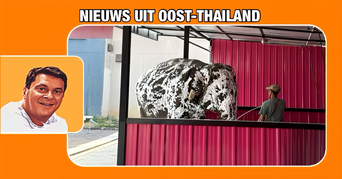 🎥 |Innovatieve service  in Oost-Thailand inspireert klanten en de online community, nadat bekend werd dat een autowasstraat ook olifanten afsopt😂
