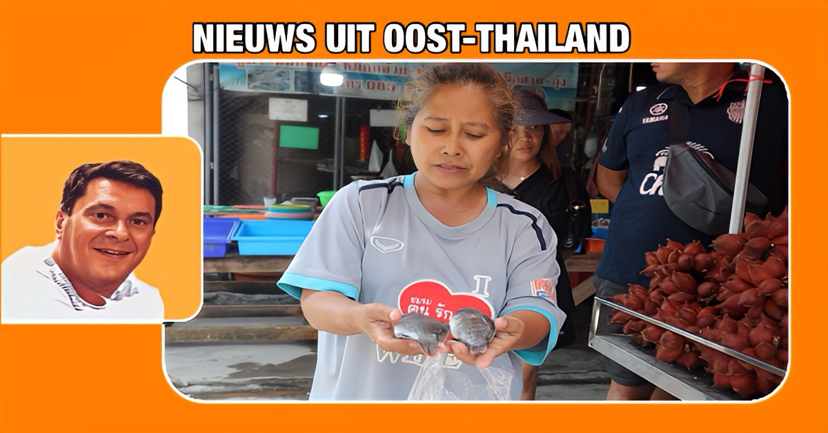De uitbraak van Zwartkin Tilapia in de Baai van Samaesan in Oost-Thailand baart vissers zorgen