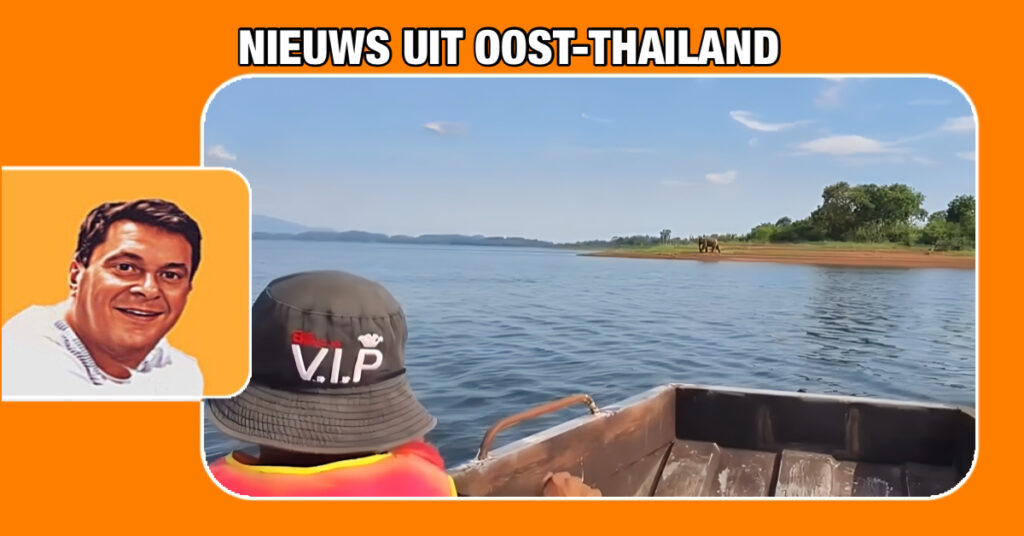 Eenzame olifant zit al twee jaar vast op eilandje in Oost-Thailand