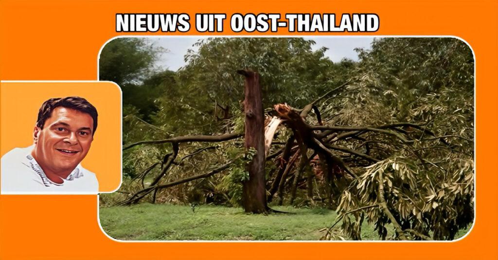 Tornado verwoest in minder dan 5 minuten een doerian boomgaard in Oost-Thailand 