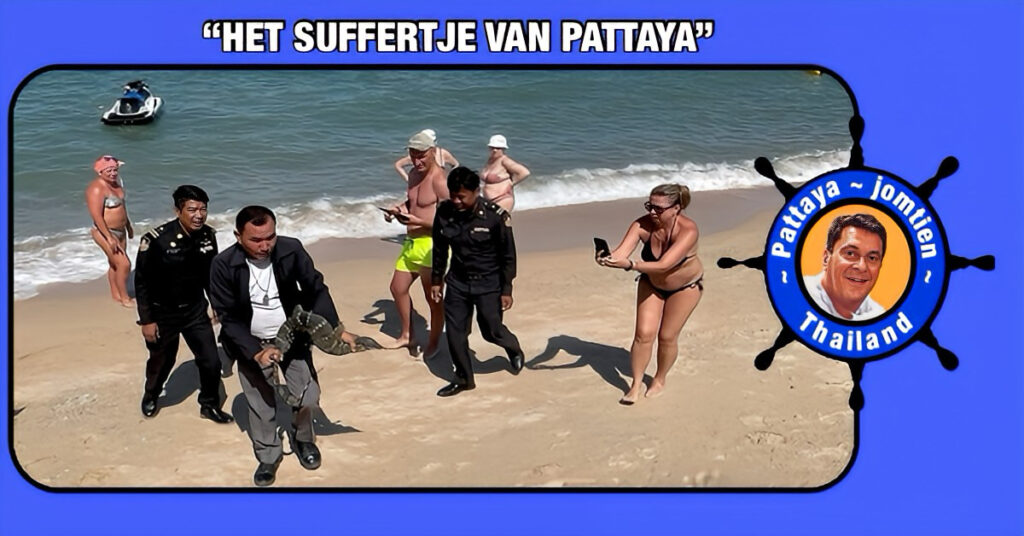 Ongenode gast op het strand van Wong Amat bracht consternatie in Pattaya, monitor hagedis werd teruggebracht in de vrije natuur