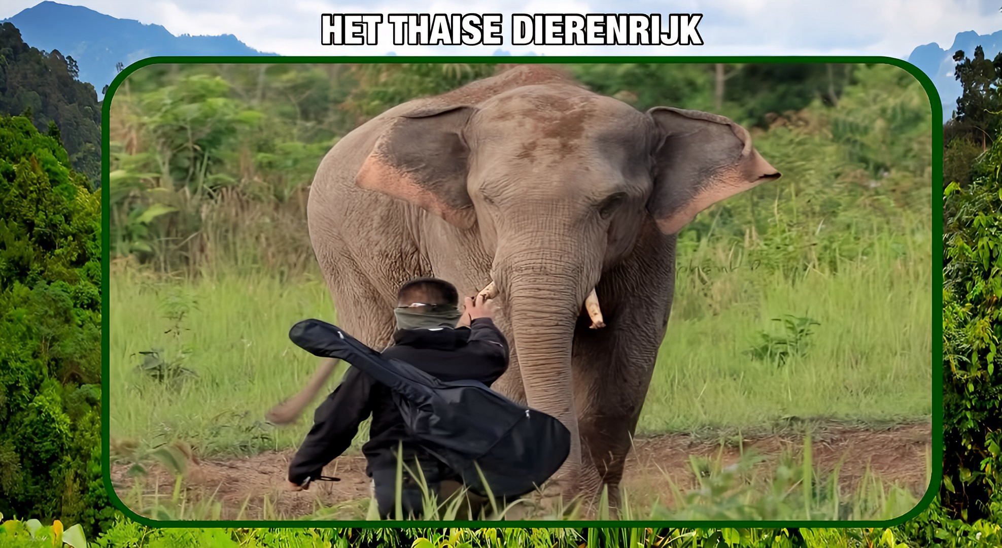 🎥 | Thaise soldaat met psychische problemen bedreigt in Centraal-Thailand een wilde olifant met een mes