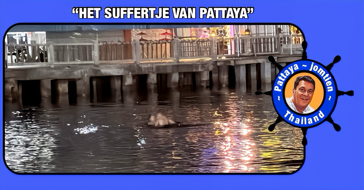 Russisch stel trekt in Pattaya een groot publiek aan met hun nachtelijke sensuele show😝