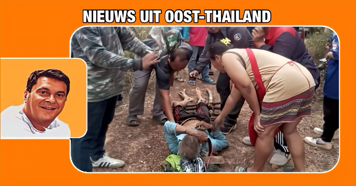 Foeragerende man in Oost-Thailand teruggevonden na door een wilde Gaur op de hoorns genomen te zijn