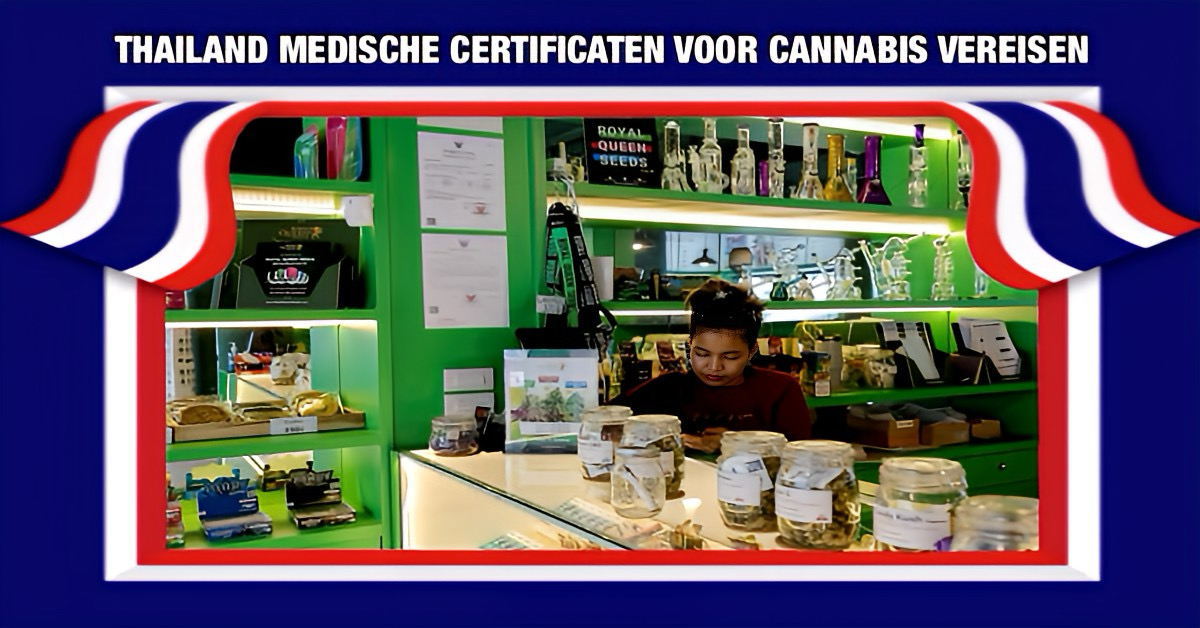 Cannabisgebruikers zullen binnenkort in Thailand een medische voorschrift nodig hebben