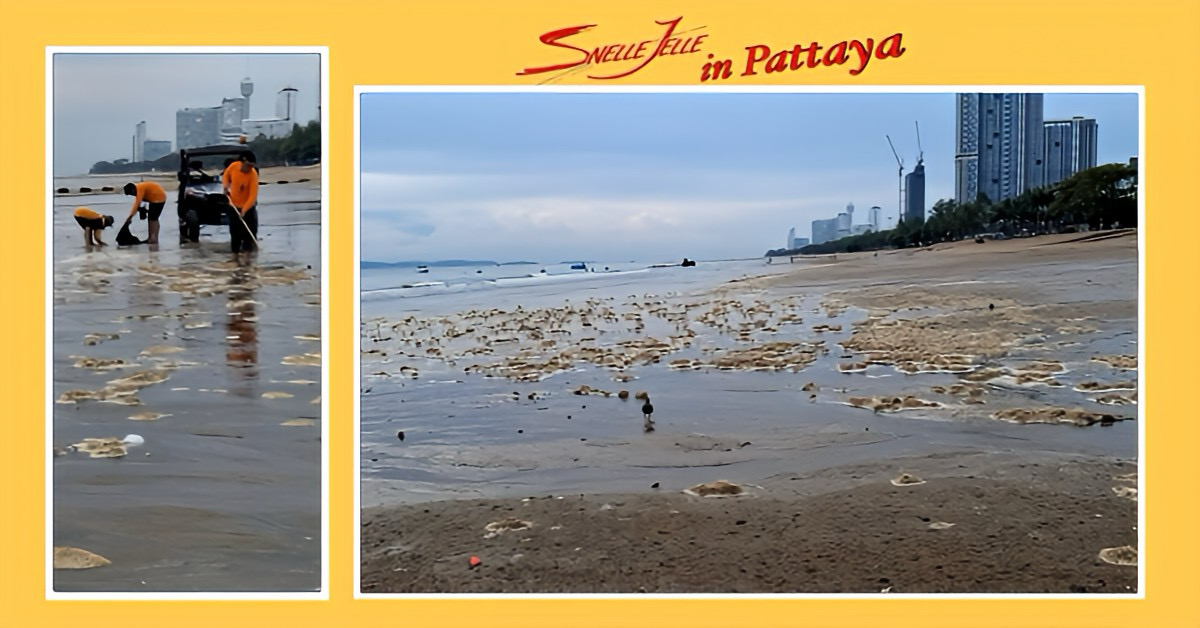 Ongewone aanblik op Jomtien Beach, Pattaya, een rood getijde verrast toeristen met roodachtig zeewater en schuimige bubbels