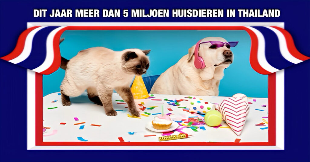 Thailand zal in 2025 meer dan 5 miljoen huisdieren tellen!
