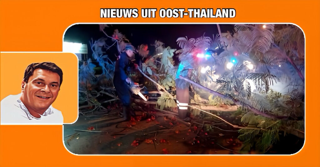 Sterke wind slaat boom in Chonburi tegen de vlakte waarbij een motorfiets berijdster gewond raakt 