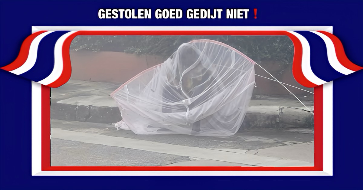 Dief in Thailand ondergaat een vloek na diefstal van hout bij een boeddhistisch altaar