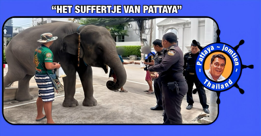 Afdeling handhaving Pattaya ingeschakeld door lokale bewoners om actie te ondernemen tegen olifantenverzorgers