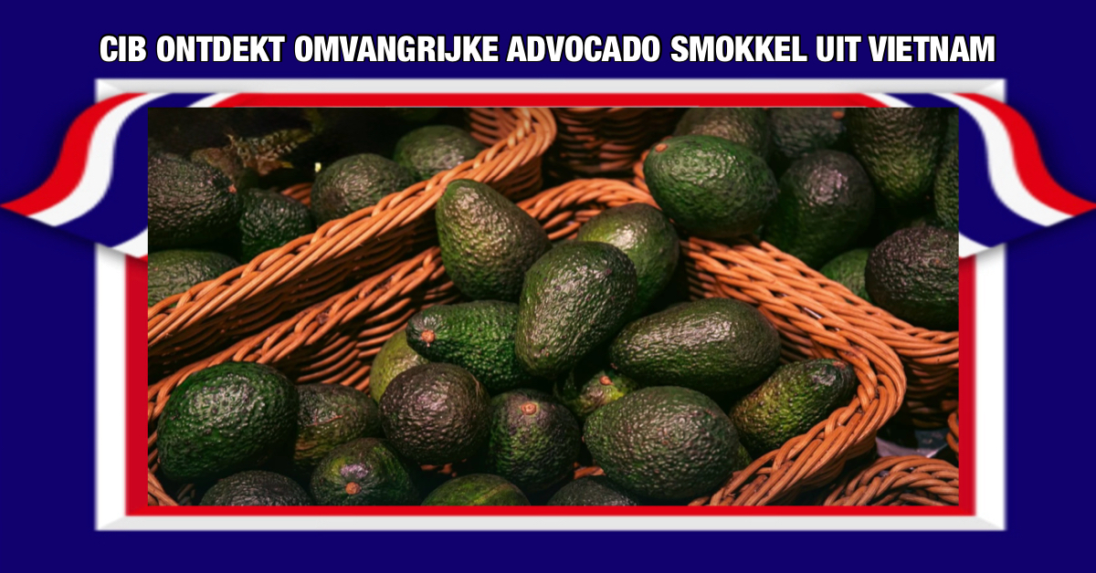 Vietnamese fruitmakelaar in Thailand gearresteerd voor het smokkelen van 16 ton avocado’s