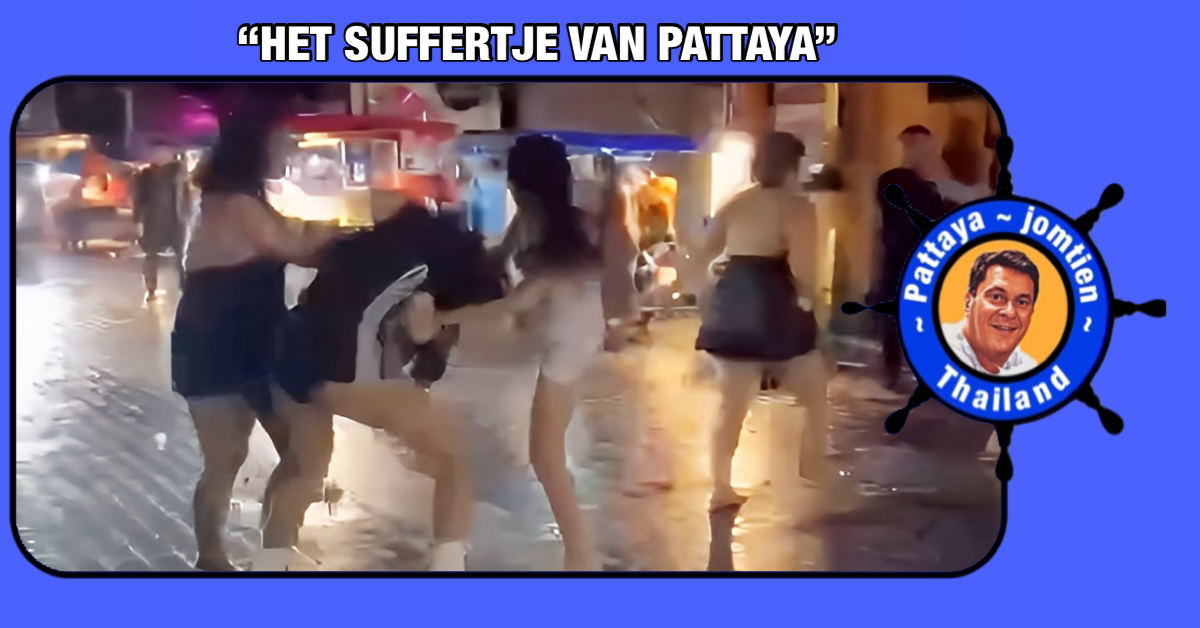 Hevige concurrentiestrijd ontaard in Pattaya in een serieus katten-gevecht.