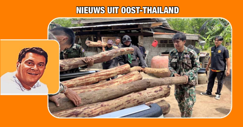 Na een illegale kap van Siamees rozenhout zijn in Oost-Thailand twee arrestaties verricht 