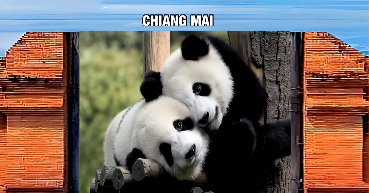 Thailand in blijde verwachting met de komst twee panda’s uit China