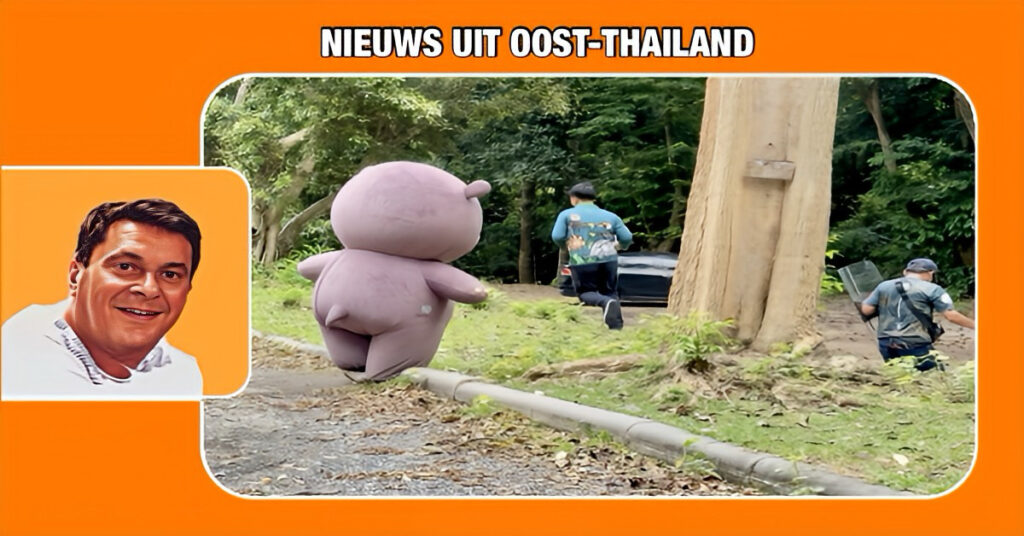 🎥 | Moo Deng ontsnapt uit haar verblijf en rent door de dierentuin van Chonburi, dappere dierverzorgers weten naar te elimineren