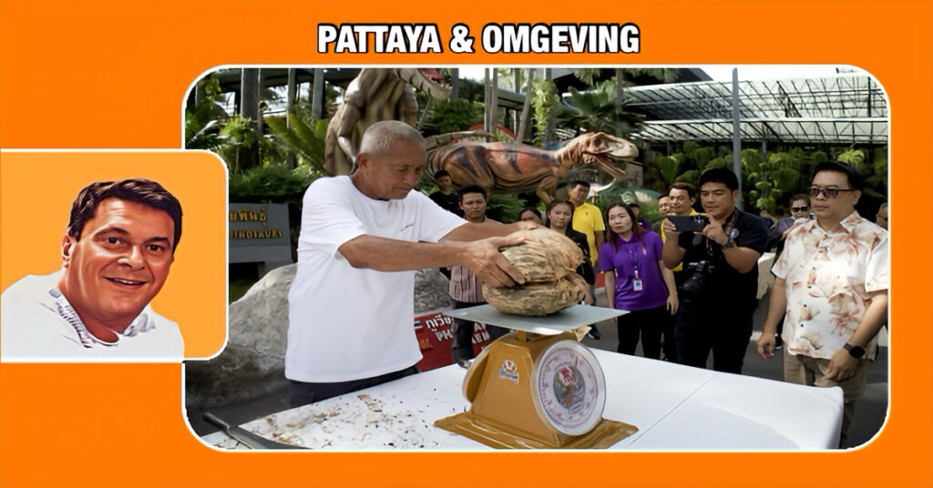Nong Nooch Gardens in Pattaya viert een ongekende mijlpaal met de kweek van de zeldzame Coco de Mer kokosnoot!