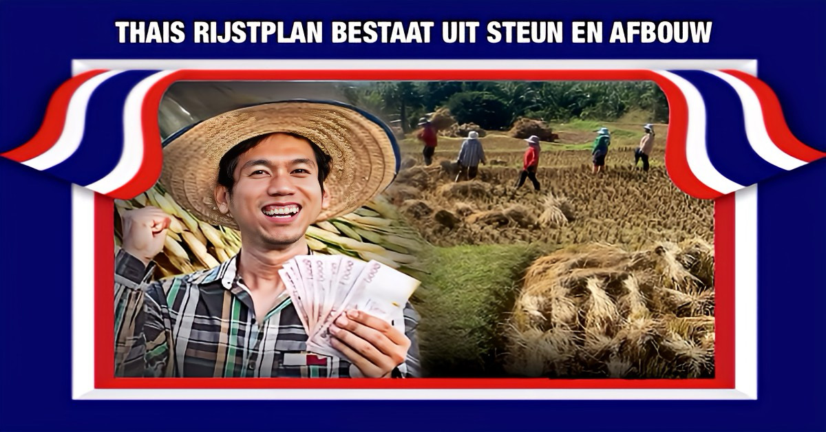 Miljardenpakket voor Thaise rijstboeren in de maak, maar de overheid wilt de prijsondersteuning wel geleidelijk afschaffen