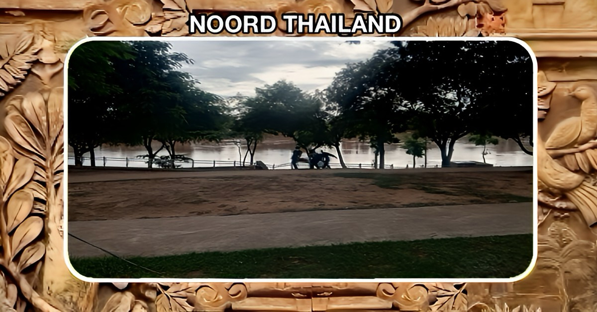Woedende zwerm bijen valt handelaren in Noord-Thailand aan, die gedwongen werden de Nan-rivier in te springen