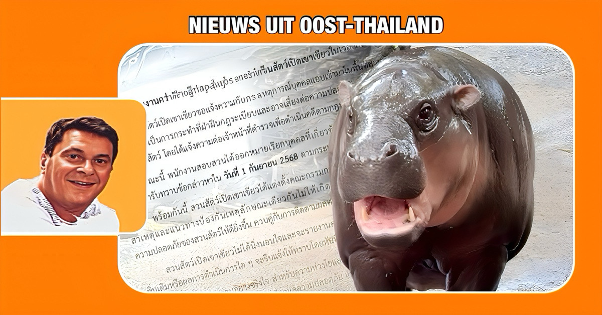 Farang met groot verlangen naar Deng, het baby-nijlpaard in Oost-Thailand, in staat van beschuldiging gesteld na nachtelijke inbraak in dierentuin