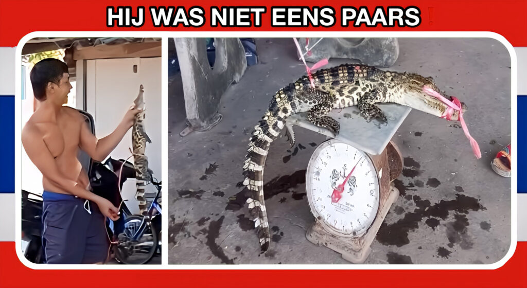 Met hengel en kracht haalt een visser in Oost-Thailand een krokodil naar binnen