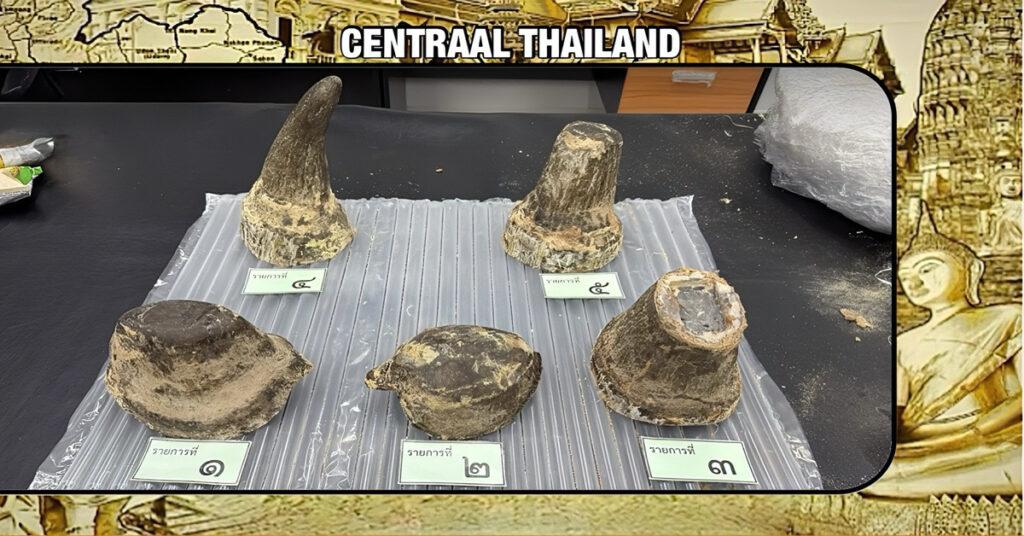 Vietnamese man tijdens doorreis naar Laos in Thailand gearresteerd voor smokkelen van neushoornhoorns