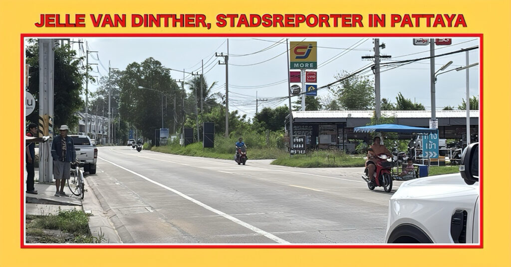 Hitsige haan biedt zich bij aan een kippenverkoopster in Pattaya aan 